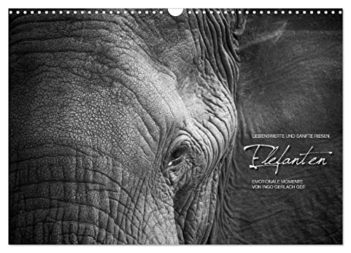Emotionale Momente: Elefanten in black & white (Wandkalender 2024 DIN A3 quer), CALVENDO Monatskalender von CALVENDO