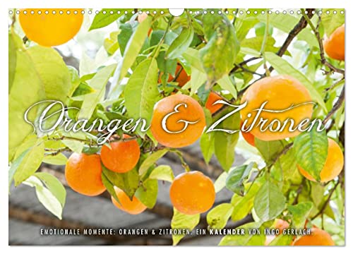Emotionale Momente: Orangen & Zitronen. (Wandkalender 2024 DIN A3 quer), CALVENDO Monatskalender