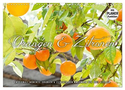 Emotionale Momente: Orangen und Zitronen. (Wandkalender 2024 DIN A3 quer), CALVENDO Monatskalender: Ingo Gerlach hat tolle Bilder von Orangen und ... Süßsauer für die Küche. (CALVENDO Lifestyle) von CALVENDO