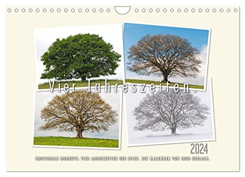 Vier Jahreszeiten der Eiche. (Wandkalender 2024 DIN A4 quer), CALVENDO Monatskalender von CALVENDO