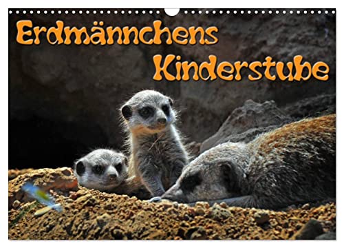 Erdmännchens Kinderstube (Wandkalender 2024 DIN A3 quer), CALVENDO Monatskalender