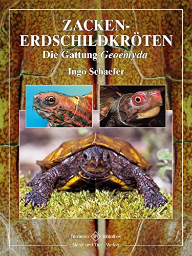 Zacken-Erdschildkröten: Die Gattung Geoemyda (Terrarien-Bibliothek) von NTV Natur und Tier-Verlag