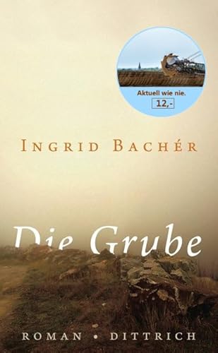 Die Grube: Roman