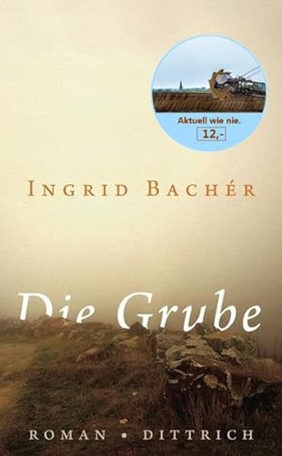 Die Grube: Roman von Dittrich Verlag
