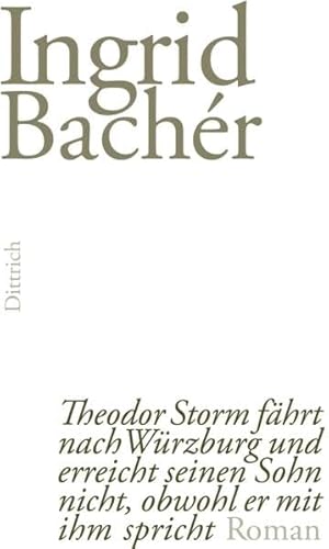 Theodor Storm fährt nach Würzburg und erreicht seinen Sohn nicht, obwohl er mit ihm spricht: Roman von Dittrich Verlag