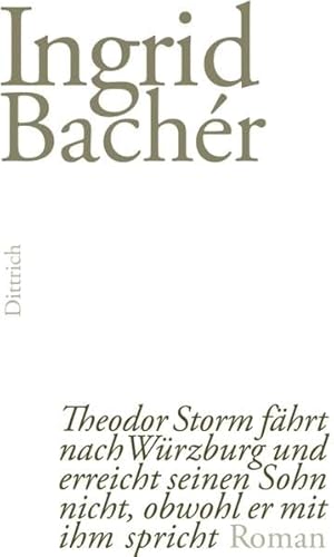 Theodor Storm fährt nach Würzburg und erreicht seinen Sohn nicht, obwohl er mit ihm spricht: Roman Theodor Storm fährt nach Würzburg und erreicht seinen Sohn nicht, obwohl er mit ihm spricht: Roman