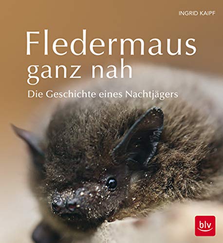 Fledermaus ganz nah: Die Geschichte eines Nachtjägers (BLV Natur) von Gräfe und Unzer