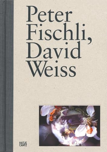 Peter Fischli, David Weiss: Sammlung Göetz (Zeitgenössische Kunst)