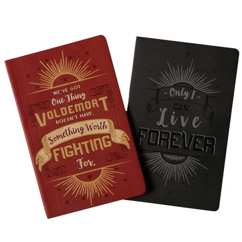 Harry Potter: Character Notebook Collection: Harry Potter and Voldemort