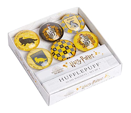 Harry Potter Hufflepuff Glass Magnet Set