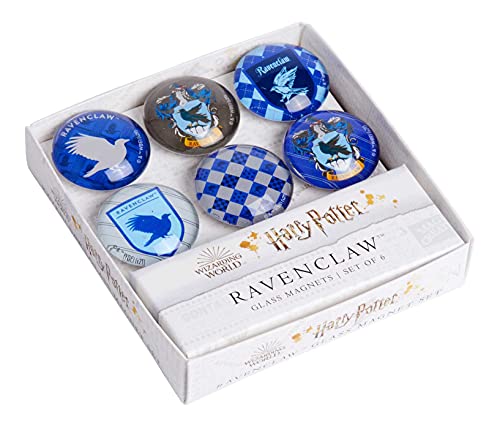 Harry Potter Ravenclaw Glass Magnet Set
