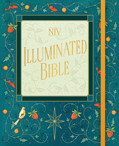 NIV Illuminated Bible von Hodder & Stoughton