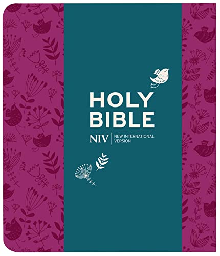 NIV Journalling Plum Soft-tone Bible with Clasp (New International Version)