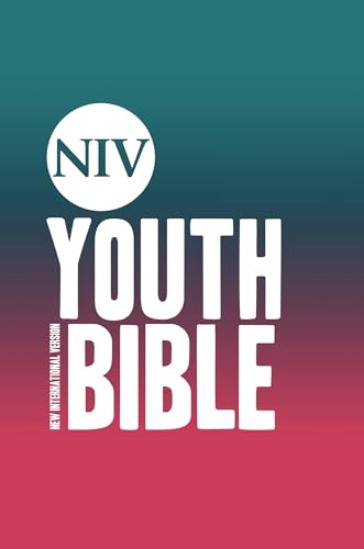 NIV Soul Survivor Youth Bible Hardback (New International Version)