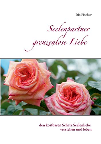 Seelenpartner grenzenlose Liebe: den kostbaren Schatz Seelenliebe verstehen und leben Seelenpartner grenzenlose Liebe: den kostbaren Schatz Seelenliebe verstehen und leben