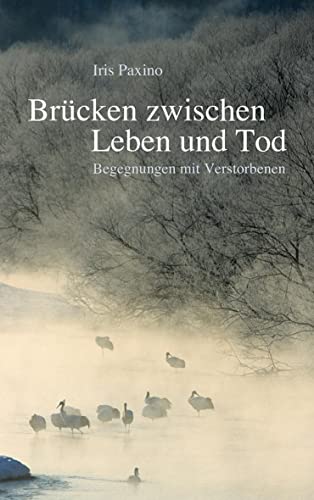 Brücken zwischen Leben und Tod: Begegnungen mit Verstorbenen von Freies Geistesleben GmbH