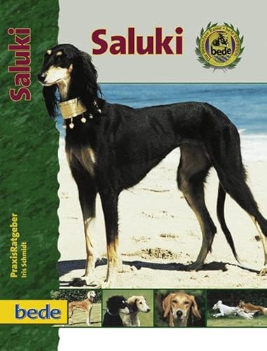 Saluki, Praxisratgeber von Bede Verlag GmbH