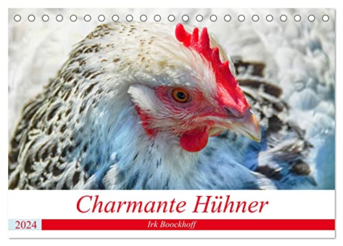 Charmante Hühner (Tischkalender 2024 DIN A5 quer), CALVENDO Monatskalender von CALVENDO