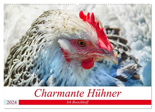 Charmante Hühner (Wandkalender 2024 DIN A2 quer), CALVENDO Monatskalender