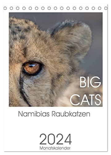 BIG CATS - Namibias Raubkatzen (Tischkalender 2024 DIN A5 hoch), CALVENDO Monatskalender von CALVENDO