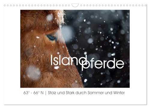 Islandpferde - Stolz und Stark durch Sommer und Winter (Wandkalender 2024 DIN A3 quer), CALVENDO Monatskalender: Islandpferde, fotografiert in ihrer Heimat: 63° - 66° N. von CALVENDO