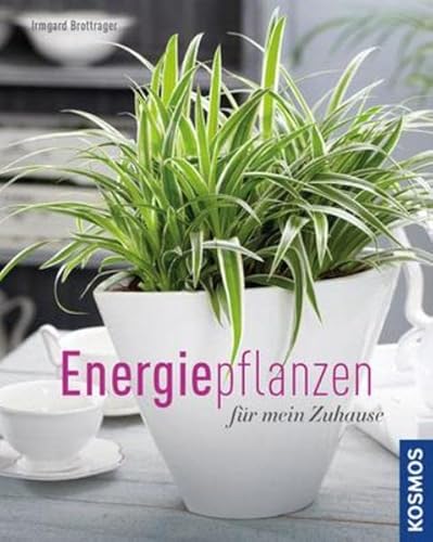 Energiepflanzen für mein Zuhause