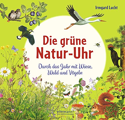 Die grüne Natur-Uhr: Durch das Jahr mit Wiese, Wald und Vögeln (Die Natur-Uhren) von ellermann