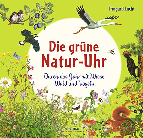 Die grüne Natur-Uhr: Durch das Jahr mit Wiese, Wald und Vögeln. Hochwertiges Kinderbuch zum Vorlesen und entdecken ab 5 Jahren (Die Natur-Uhren)