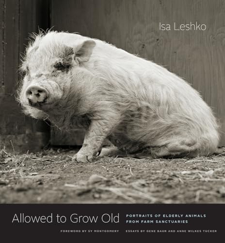 Allowed to Grow Old: Portraits of Elderly Animals from Farm Sanctuaries von University of Chicago Press