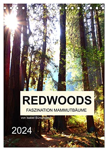 Redwoods - Faszination Mammutbäume (Tischkalender 2024 DIN A5 hoch), CALVENDO Monatskalender von CALVENDO
