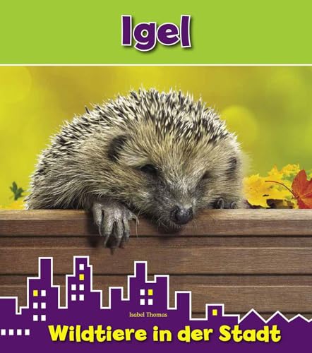 Igel: Wildtiere in der Stadt von Corona