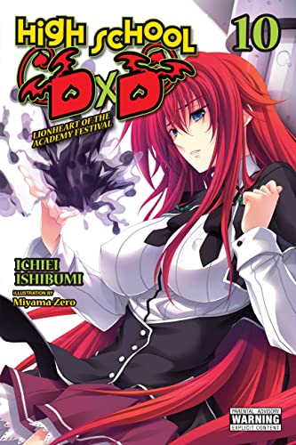 High School DxD, Vol. 10 (light novel): Lionheart of the Academy Festival (HIGH SCHOOL DXD LIGHT NOVEL SC)
