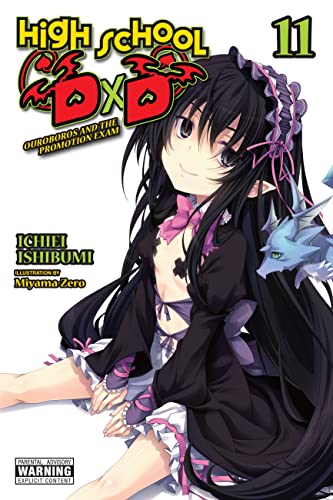 High School DxD, Vol. 11 (light novel) (HIGH SCHOOL DXD LIGHT NOVEL SC, Band 11) von Yen Press