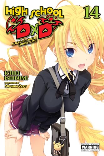 High School DxD, Vol. 14 (light novel): Volume 14 (HIGH SCHOOL DXD LIGHT NOVEL SC)
