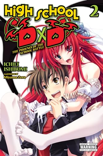 High School DxD, Vol. 2 (light novel): The Phoenix of the School Battle (HIGH SCHOOL DXD LIGHT NOVEL SC, Band 2)