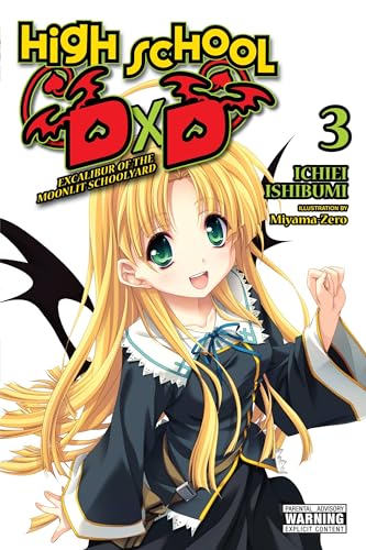 High School DxD, Vol. 3 (light novel): Excalibur of the Moonlit Schoolyard (HIGH SCHOOL DXD LIGHT NOVEL SC) von Yen Press