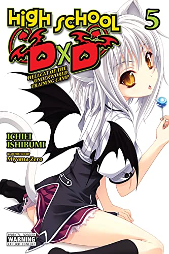 High School DxD, Vol. 5 (light novel): Hellcat of the Underworld Training Camp (HIGH SCHOOL DXD LIGHT NOVEL SC)