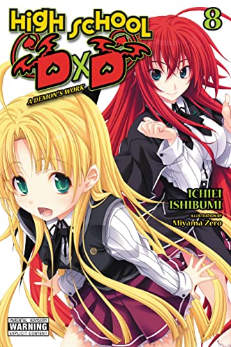 High School DxD, Vol. 8 (light novel): A Demon's Work (HIGH SCHOOL DXD LIGHT NOVEL SC)