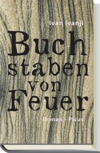 Buchstaben von Feuer: Roman