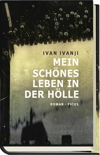 Mein schönes Leben in der Hölle: Roman