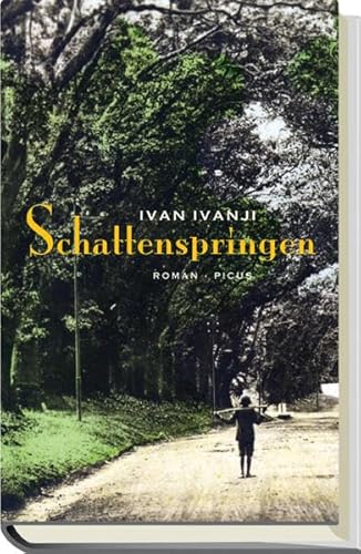 Schattenspringen: Roman von Picus Verlag