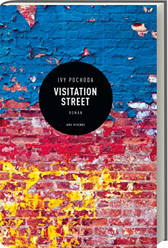 Visitation Street: Ein fesselnder Roman über Geheimnisse, Verlust und die Suche nach Erlösung - eine ergreifende und hoch spannende Geschichte