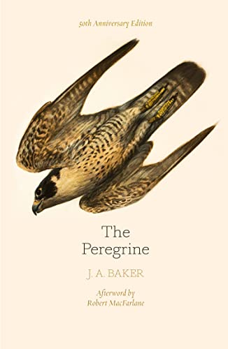 The Peregrine: 50th Anniversary Edition: Afterword by Robert Macfarlane von William Collins