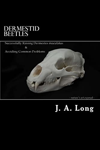 Dermestid Beetles: Successfully Raising Dermestes maculatus and Avoiding Common Problems Dermestid Beetles: Successfully Raising Dermestes maculatus and Avoiding Common Problems von CREATESPACE