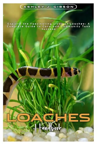LOAHES HANDBOOK: Explore the Fascinating lives of Loaches: A complete Guide to care and community tank success. von Independently published