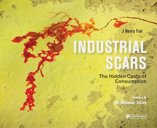 Industrial Scars: The Hidden Costs of Consumption