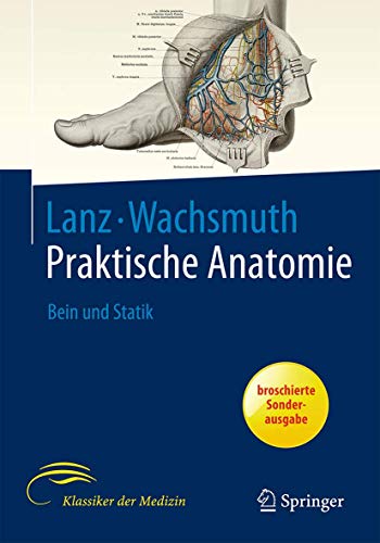 Bein und Statik: Neubearb. v. J. Lang u. a. von Springer