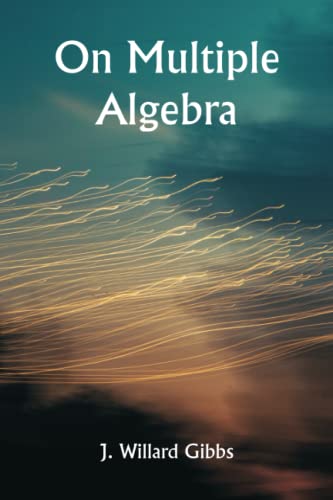 On Multiple Algebra