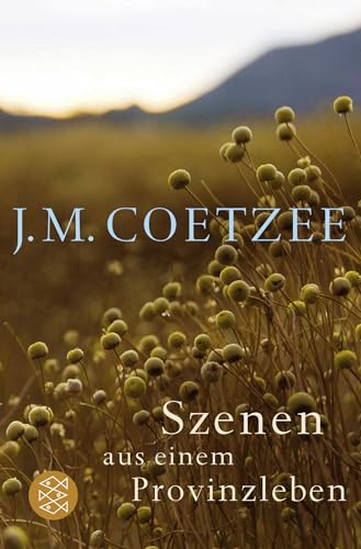 Szenen aus einem Provinzleben: Der Junge, Die frühen Jahre, Sommer des Lebens von FISCHER Taschenbuch