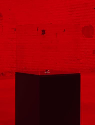 The End of the World: Alfredo Jaar von DISTANZ Verlag